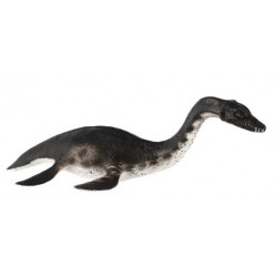 Plesiosaur 23cm