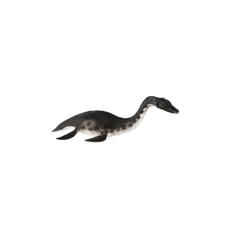 Plesiosaur 23cm